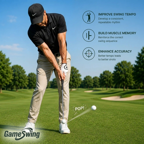 GameSwing Tempo Stick
